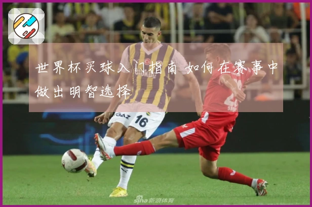 世界杯买球入门指南 如何在赛事中做出明智选择