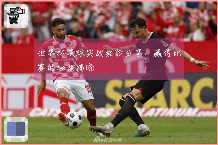 世界杯滚球实战经验分享，赢得比赛的秘诀揭晓