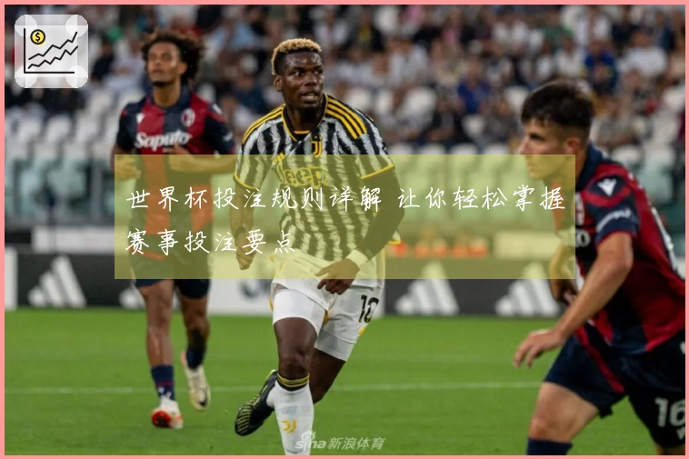 世界杯投注规则详解 让你轻松掌握赛事投注要点