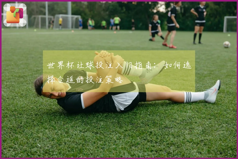 世界杯让球投注入门指南：如何选择合适的投注策略