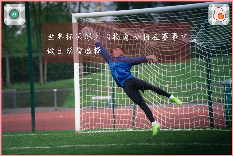 世界杯买球入门指南 如何在赛事中做出明智选择