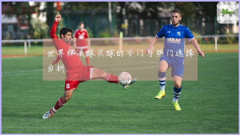 世界杯滚球买球的冷门与热门选择分析