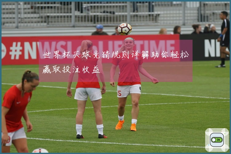 世界杯买球竞猜规则详解助你轻松赢取投注收益
