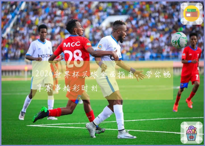 2026世界杯买球全面指南，带你畅享赛事精彩时刻