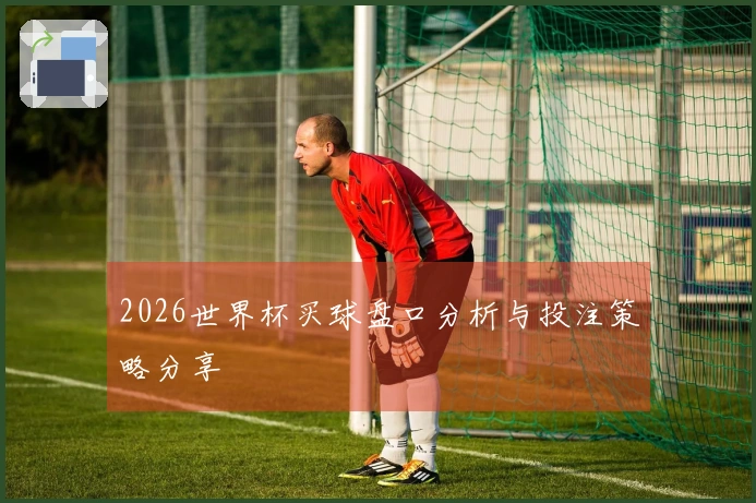 2026世界杯买球盘口分析与投注策略分享
