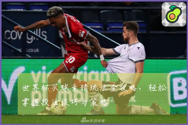 世界杯买球竞猜玩法全攻略，轻松掌握投注技巧与策略