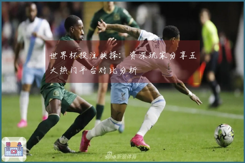 世界杯投注抉择：资深玩家分享五大热门平台对比分析