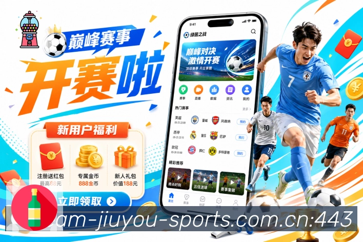 互动解说服务